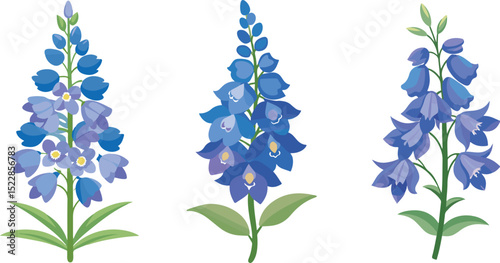 forget me not flowers