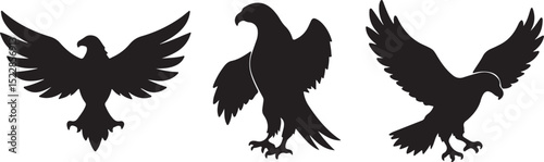 eagle tattoo vector