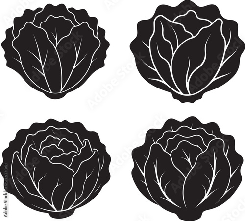 set of cabbage