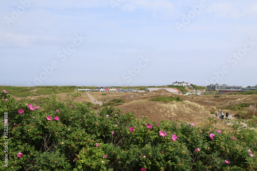 Dünenlandschaft auf der Nordseeinsel Langeoog