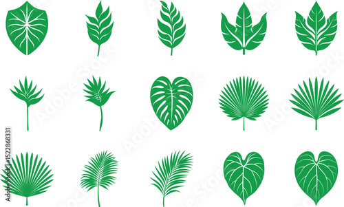 Tropical leaves silhouette vector set