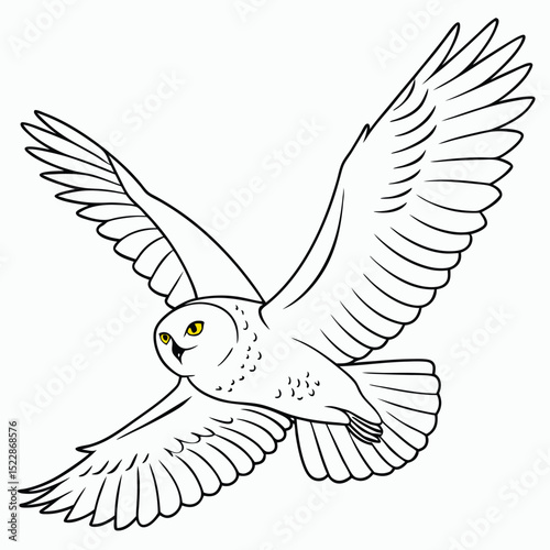 Majestic snowy owl in flight wings spread wide detailed view bird wild avian white winter nature