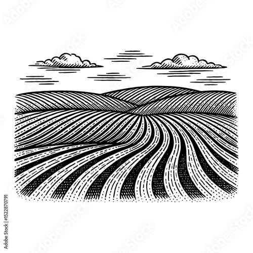 Rural Landscape with Fields Hills and Clouds Black and White Outline Line Art Drawing