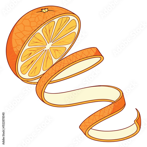 Vibrant orange peel spiral citrus skin curl design food fruit drink color curled nature vector bright