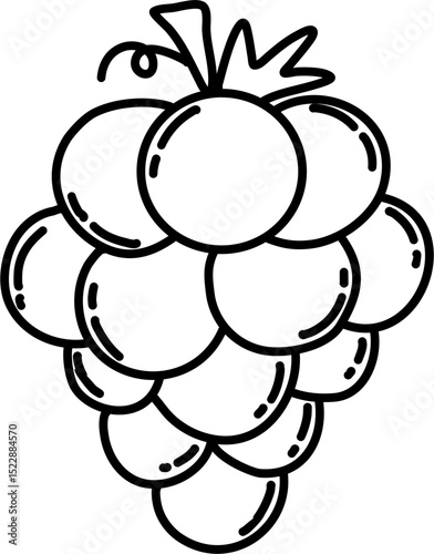 Grapes Fruit lineart