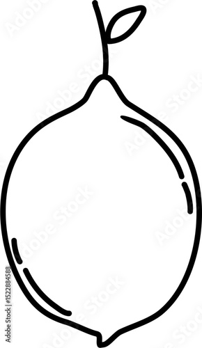 Lemon Fruit lineart