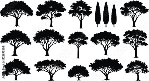 silhouettes of trees