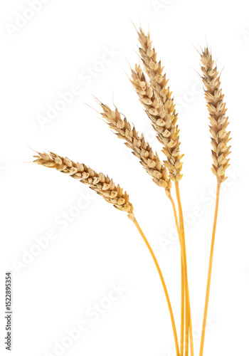 Ears of wheat.