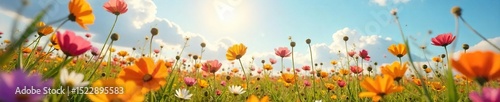 A vibrant, sun-drenched field of wildflowers swaying freely in the breeze, embodying uninhibited joy and passionate abandon , colorful, orange