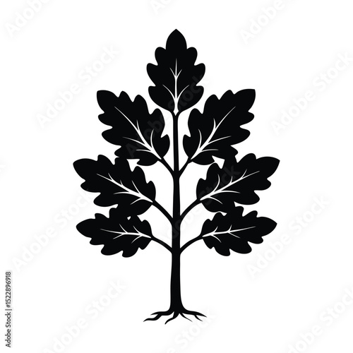 Oak Sapling Silhouette Vector with Lobed Leaves
