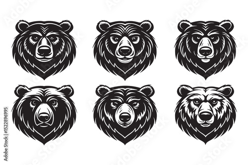 Set of Bear line art