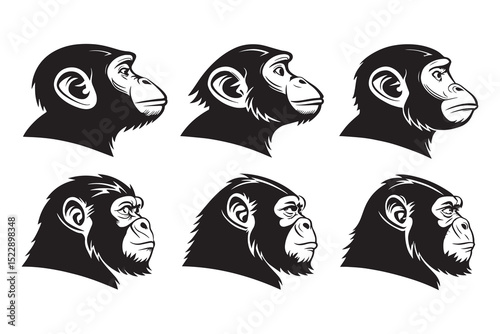 Set of Chimpanzee head line art 