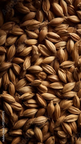 Close-up view of malt grains forming a dense, textured surface. Perfect for beer brewing and alcohol production imagery.