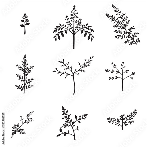 set of vector mountain laurel