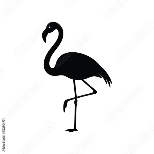 Silhouette of Flamingo Standing on One Leg Isolated on White Background