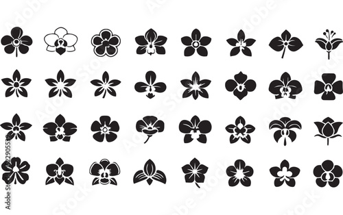 Set of Orchid Flower line art 