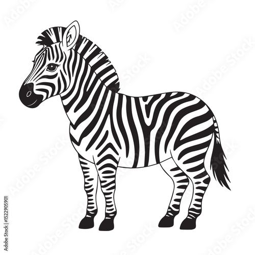 Black and white striped zebra mammal vector illustration, isolated on white background with a wildlife safari profile