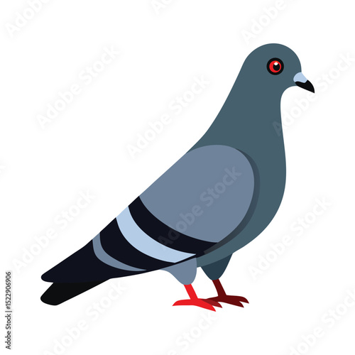 vector illustration of a pigeon