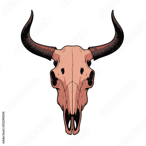 Isolated on a white background, a bull's head with prominent horns, reminiscent of a skull or skeleton, evokes the wild nature of cattle