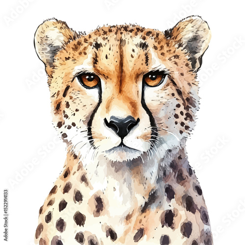 Cheetah, watercolor painting vector, high quality, isolated on a white background.