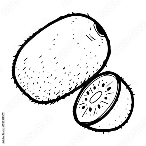 Whole kiwi fruit and half. Hand drawn doodle vector. Summer sweet berry of Actinidia plant. Seasonal vitamins. Fresh organic food. Juicy pulp in fluffy skin. Illustration line art element.
