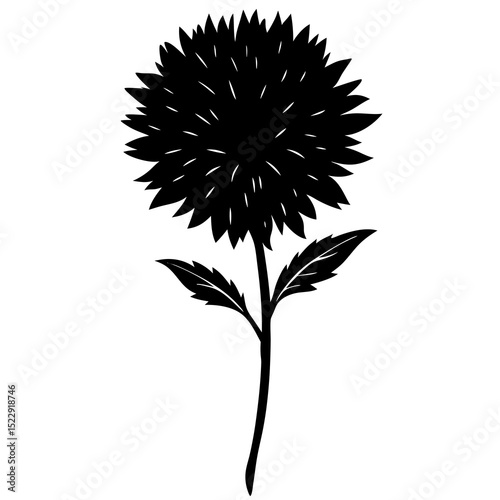 black and white flower