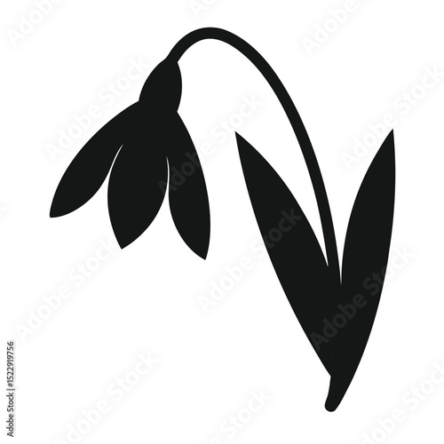 snowdrop-silhouette isolated on-white-background