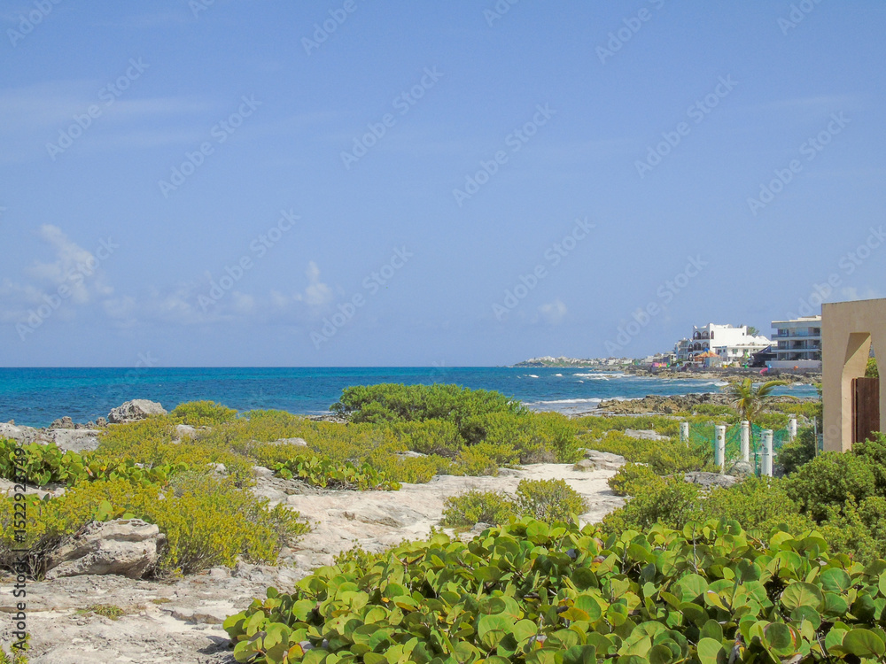 Fototapeta premium Caribe mexicano, mar del caribe