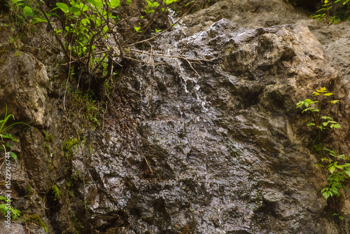 Small waterfall on mossy rocky cliff. Delicate streams of water flowing over rugged stone and surrounded by vibrant green foliage. Ideal for use in environmental campaigns or wellness content.