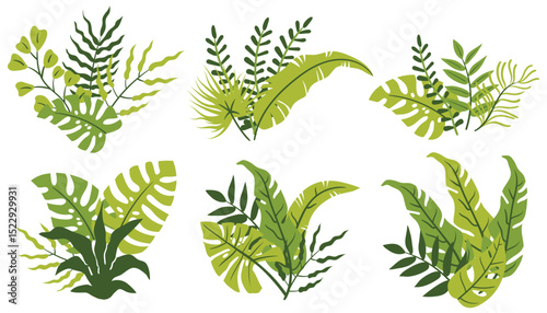 Set of still life compositions with palm, monstera, and other tropical leaves in flat cartoon style.