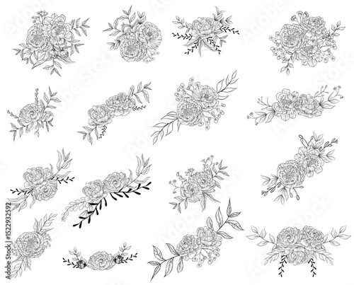 Elegant hand drawn peony flower clipart set in vintage line art style. Perfect for weddings, cards, logos, and floral design projects