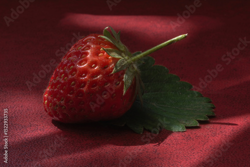 Fragole in penombra