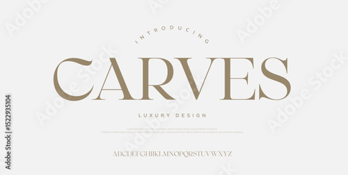Modern luxury beauty font alphabet logo. Typography beautiful minimal elegant classic letter serif fonts fashion wedding vintage retro logos. vector illustration