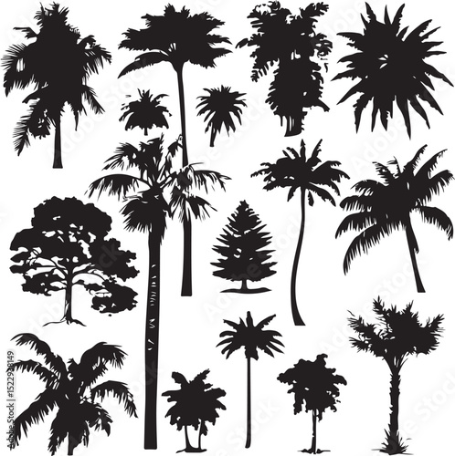 various deciduous trees silhouettes on the white background. vector set. PNG white background