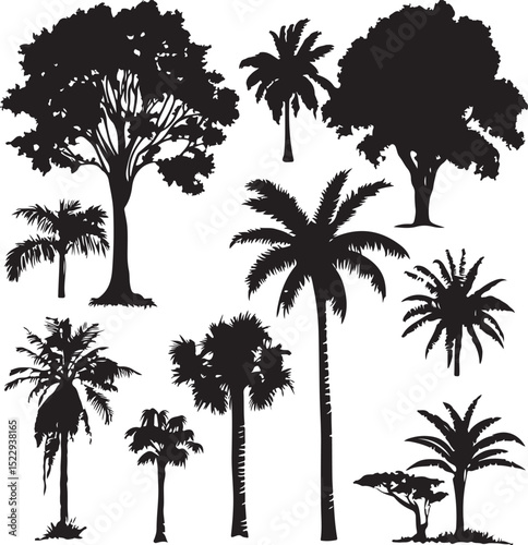 various deciduous trees silhouettes on the white background. vector set. PNG white background