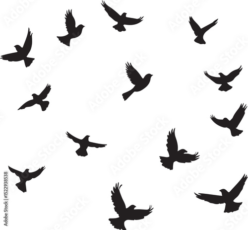 set of bird silhouette vector illustration