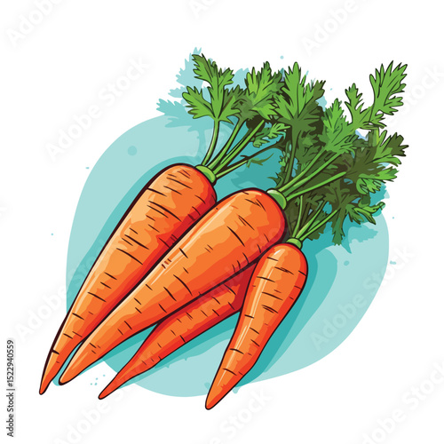 Colorful vector illustration of fresh carrots with blue lines for healthy eating concept