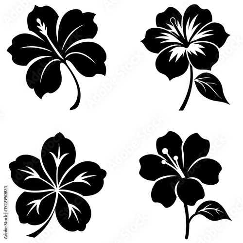Collection of Black and White Flower Illustrations Hibiscus, Blossom, Simple Design