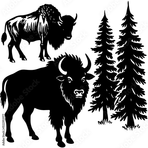 vector illustration of a bison