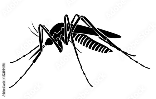wolbachia mosquito silhouette isolated on white background, silhouette mosquito,Vector silhouettes of Mosquitoes pair, blood sucking insect.  "Full compatible"