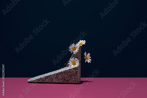 Minimalist floral display with daisies and stone