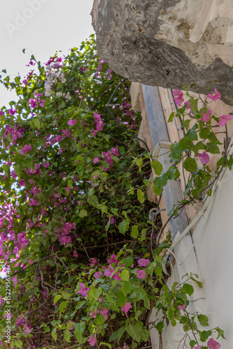 Fototapeta Naklejka Na Ścianę i Meble -  A Mediterranean old town. Historic buildings stand in narrow streets. Daytime city view in Rethymno, Crete, Greece