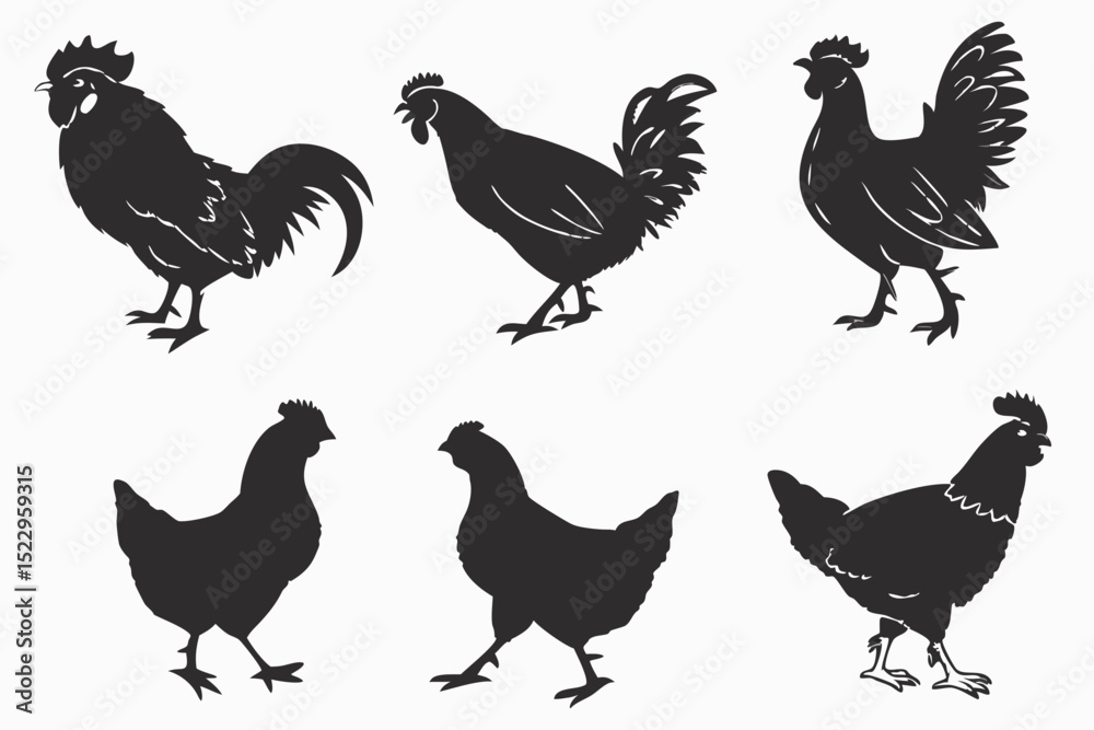 Fototapeta premium vector set of chicken