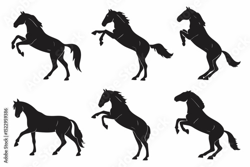 silhouettes of horses