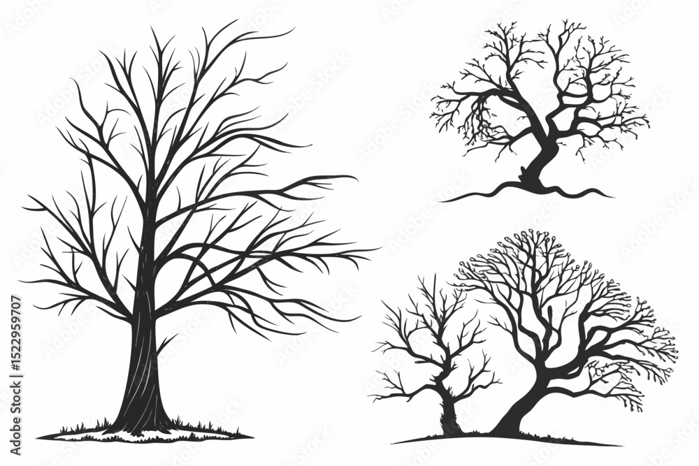 Obraz premium set of trees