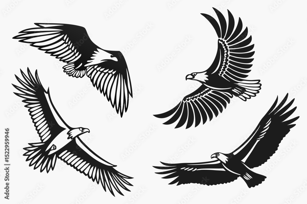 Obraz premium eagle vector illustration