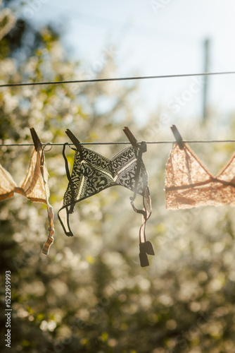 Sunlit lingerie hanging on clothesline outdoors