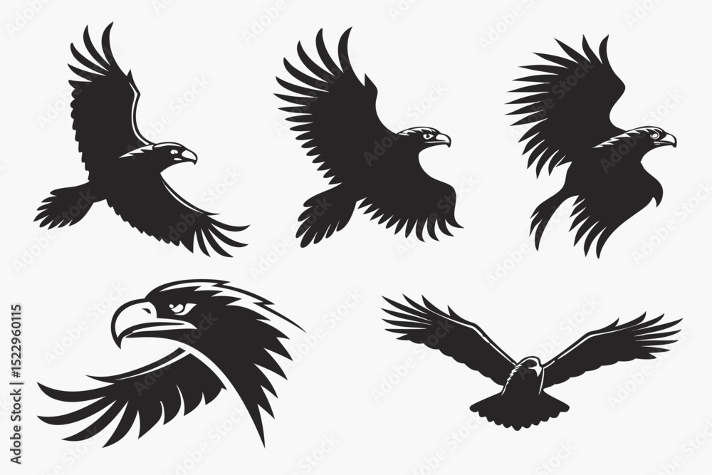 Obraz premium set of eagle