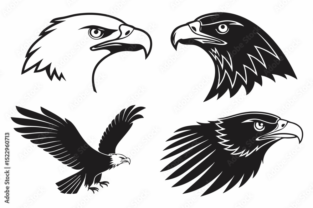 Obraz premium eagle vector illustration