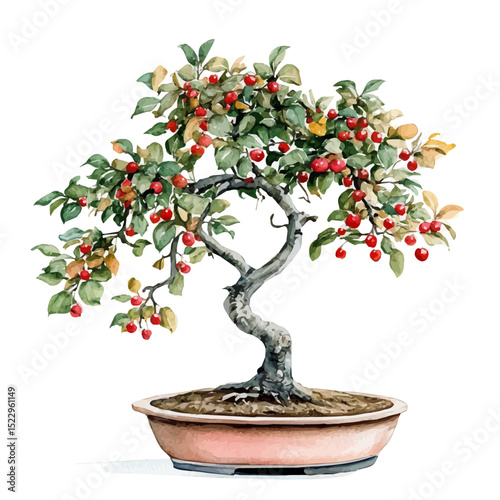 watercolor vector of A Hawthorn Bonsai, high quality, isolated on a white background.